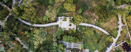 Ландшафтный дизайн